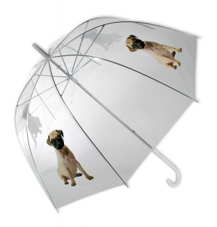 Priehľadný dáždnik - buldoček