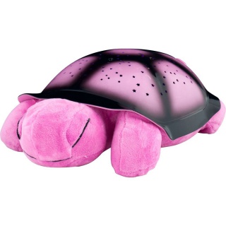 Nočná korytnačka - Ružová
