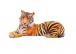 Vankúš - 3D tiger