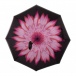 Obrátený dáždnik - kvetina