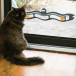 Hračka pre mačky - loptička na okno