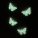 Svietiace motýle