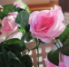 Umelá previsnutá kvetina - ružová